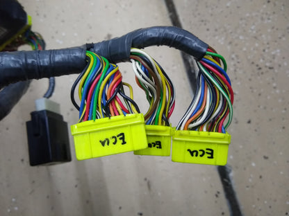 OEM Calibration ECU Harness