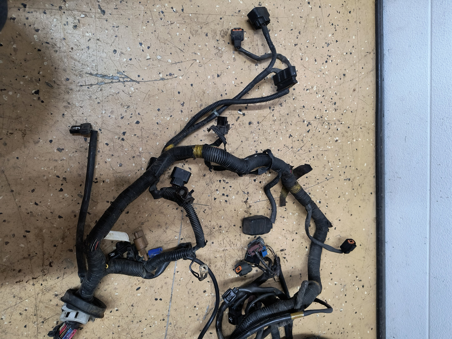 97 3000GT VR4 Engine to ECU Harness (Powertrain)