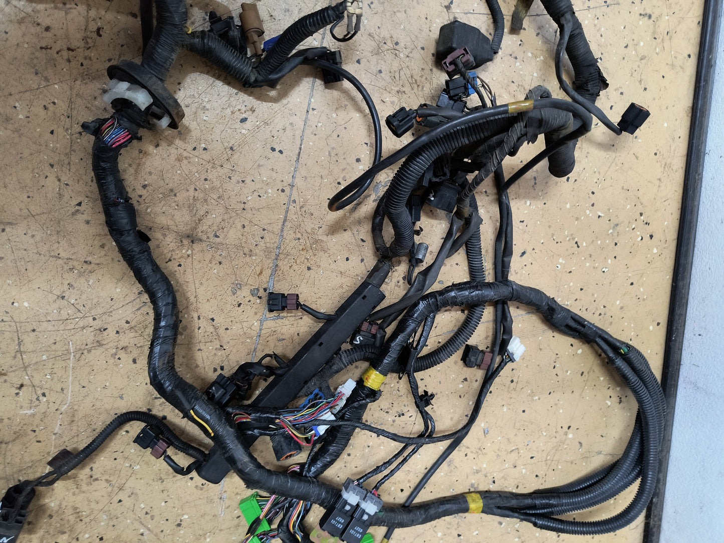 97 3000GT VR4 Engine to ECU Harness (Powertrain)